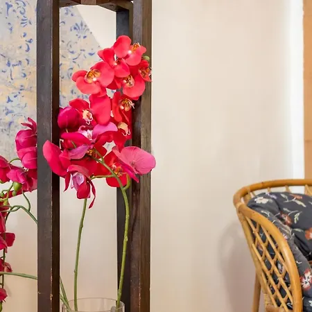 Appartamento Dream - Historic Old Town From 1364